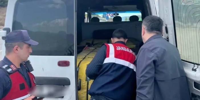 Yurt genelinde 230 düzensiz göçmen yakalandı