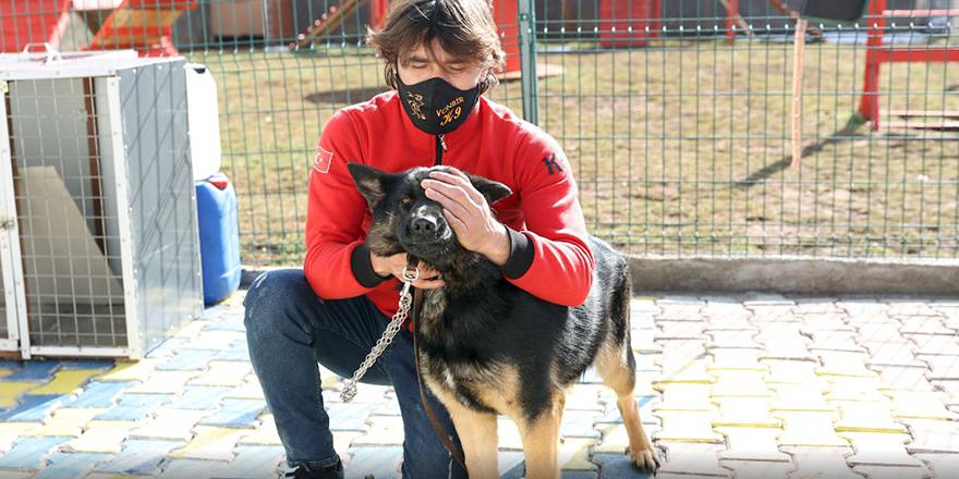 Duyarlı köpek eğitmeni, afetlerde görev yapacak "hassas burunları" gönüllü yetiştiriyor